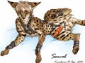 KarCat21.JPG